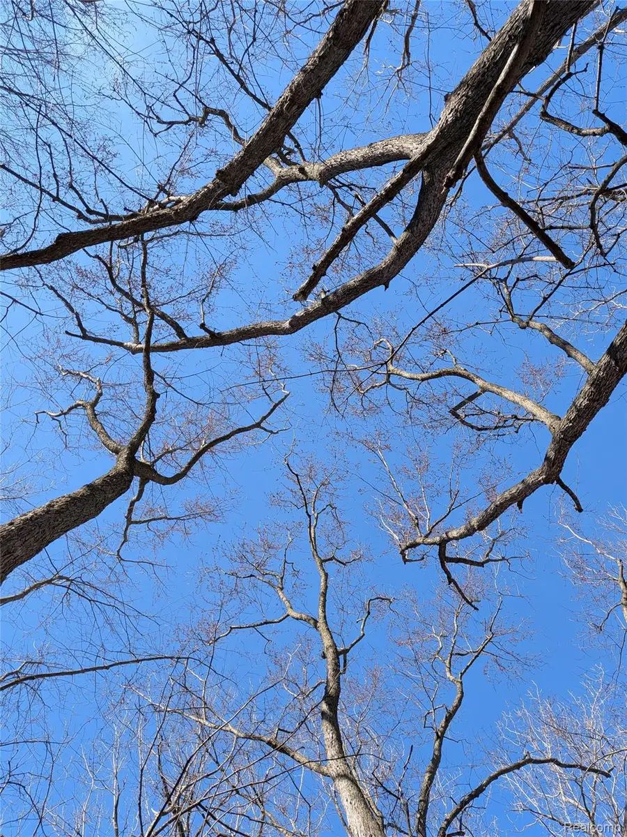 0 Church Street, Lakeodessa, MI 48849 - #3