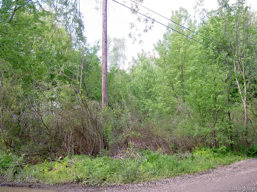 0000 Bridge, Waterford, MI 48329 - #3