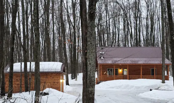 8854 Dellwood Drive, Elmira, MI 49730