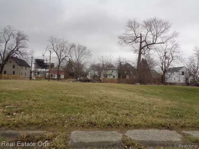 6154 Rosa Parks Boulevard, Detroit, MI 48208 - #1