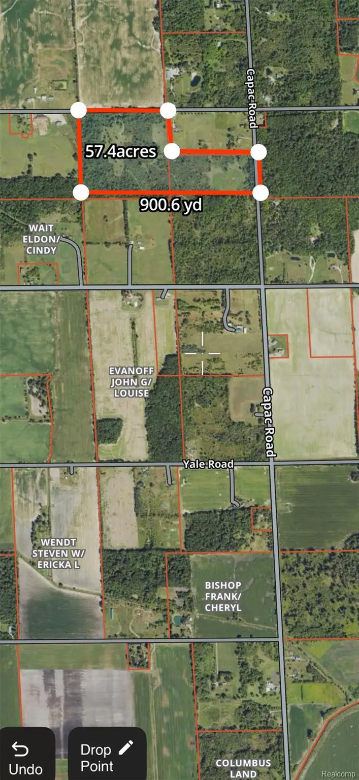 15193 Jeddo Road, Lynn, MI 48416 - #2