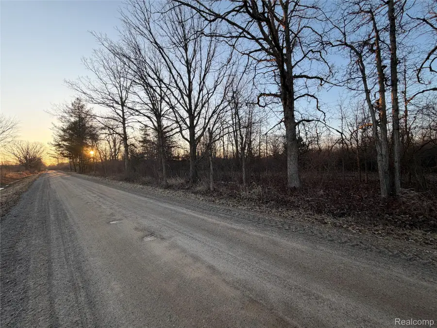 15193 Jeddo Road, Lynn, MI 48416 - #3