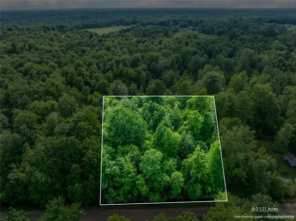 #0047 V/l Maplegrove Lane, Vassar, MI 48768