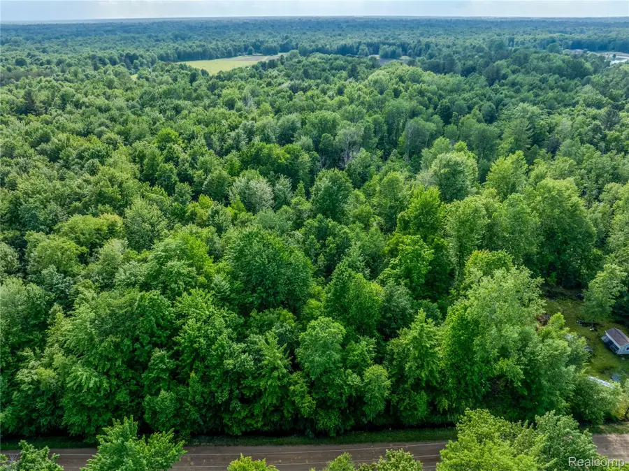 #0047 V/l Maplegrove Lane, Vassar, MI 48768 - #2