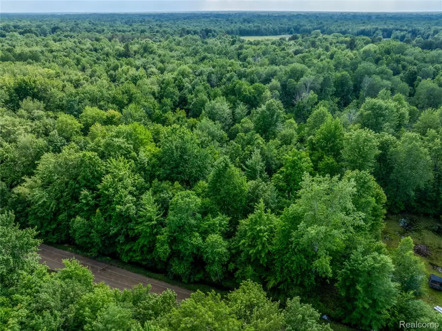 #0047 V/l Maplegrove Lane, Vassar, MI 48768 - #3