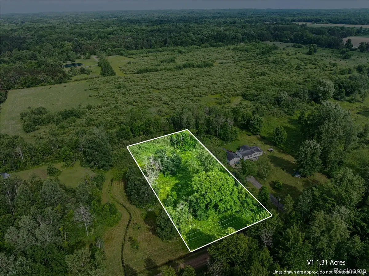 #0078 V/l Natures Nest Road, Vassar, MI 48768 - #1