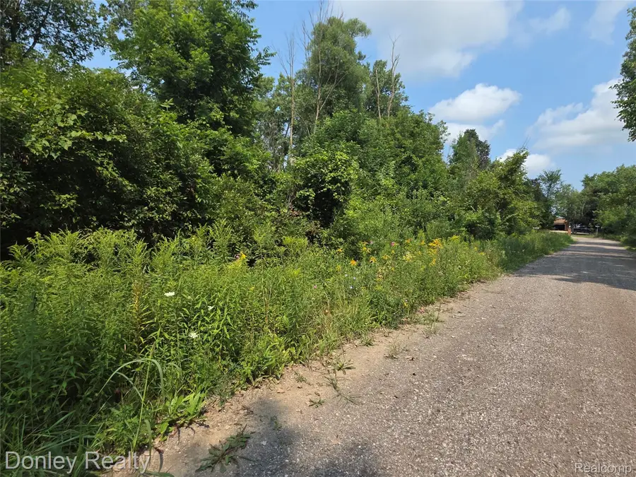 20 Vacant Lots Concord, Cranbrook & Tulane, Marlette, MI 48453 - #2