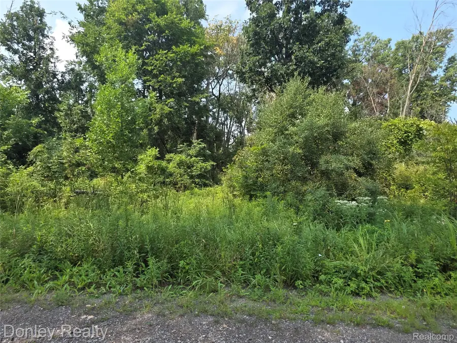 20 Vacant Lots Concord, Cranbrook & Tulane, Marlette, MI 48453 - #3