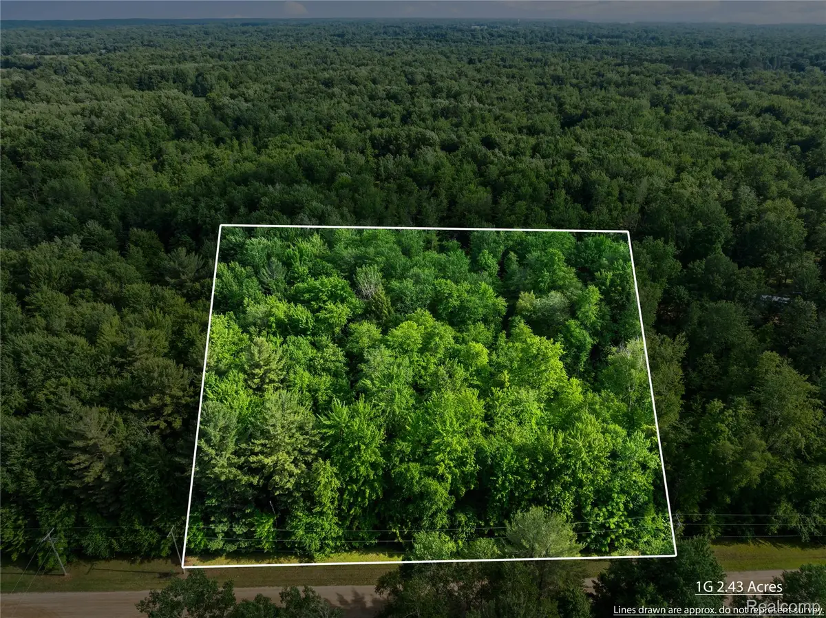 #0015 V/l Birch Lane, Vassar, MI 48768 - #1