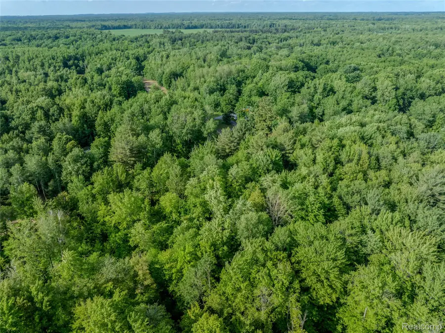 #0015 V/l Birch Lane, Vassar, MI 48768 - #2