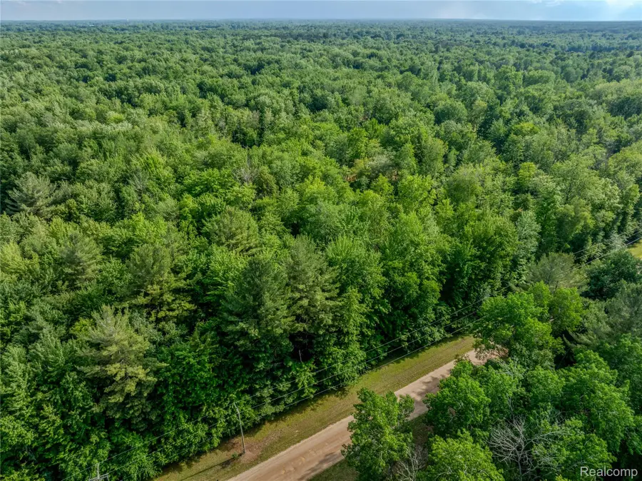 #0015 V/l Birch Lane, Vassar, MI 48768 - #3