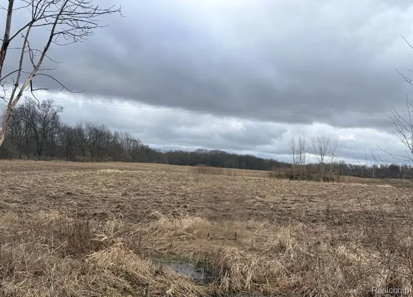 00 E Allen Road, Howell, MI 48855 - #2