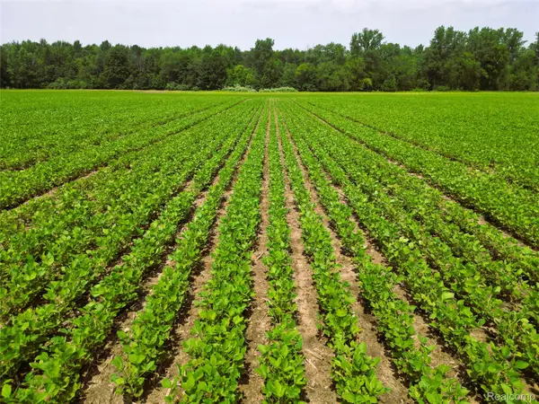 9654 Birch Run Road, Millington, MI 48746