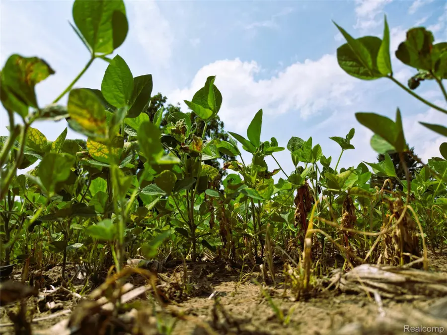 9654 Birch Run Road, Millington, MI 48746 - #2