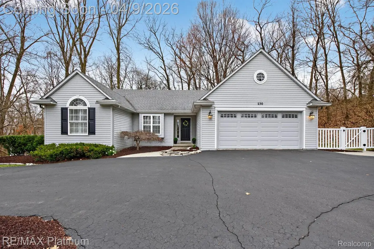 230 Leith Street, Brighton, MI 48116 - #1