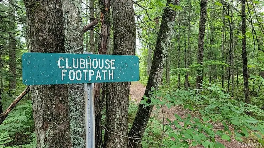 3028 Palmer Place, Grayling, MI 49738 - #2