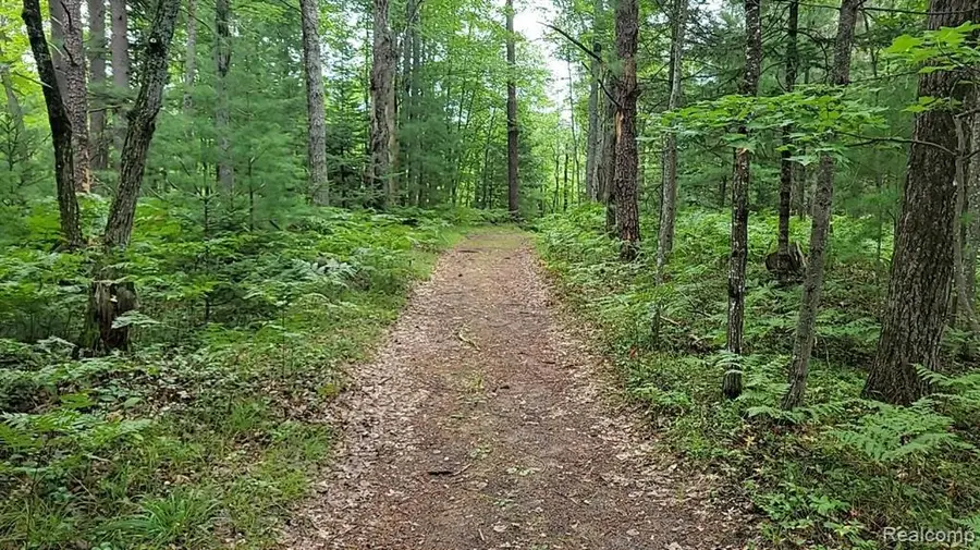 0 Palmer Place, Grayling, MI 49738 - #3