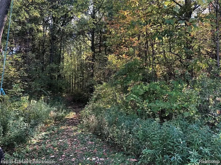 7627 Lapeer Road, Wales, MI 48027 - #2