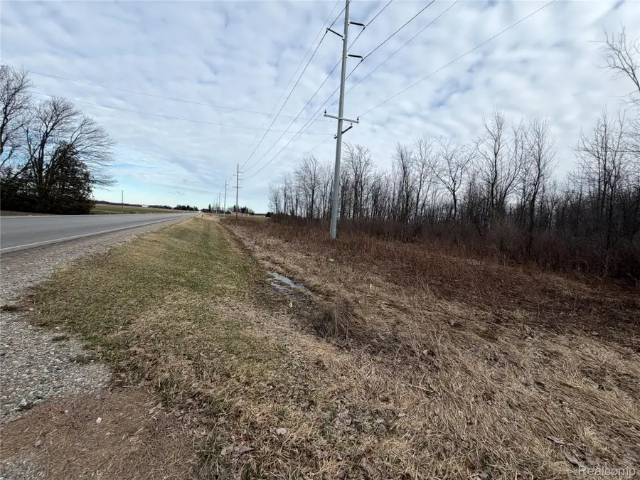 3155 Peck Road, Flynn, MI 48416 - #2