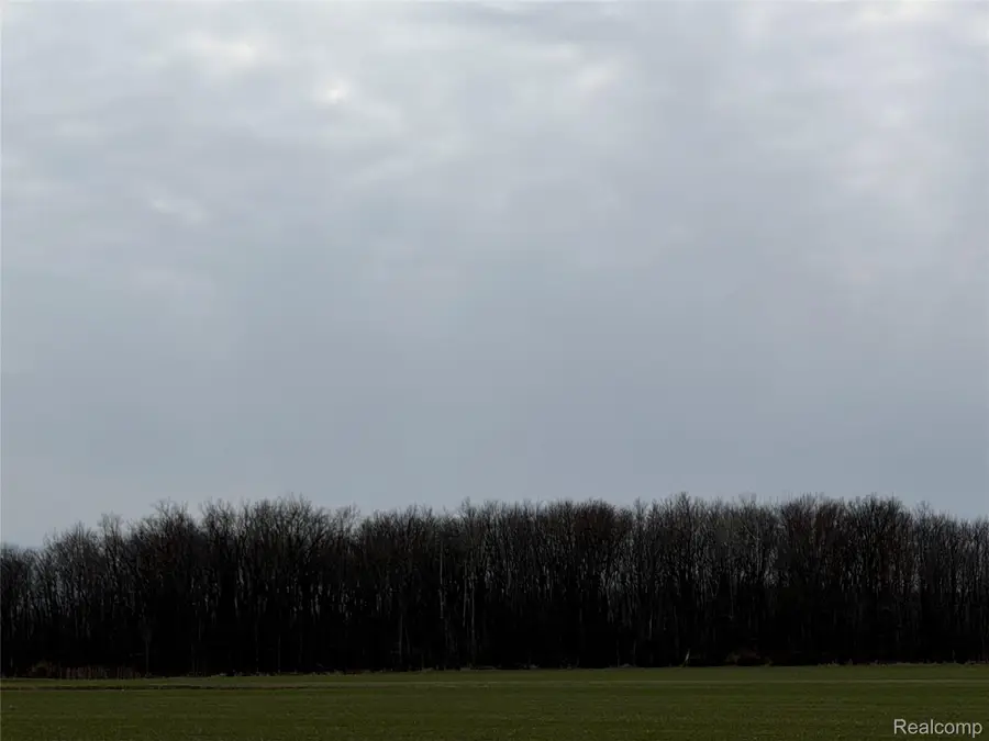 3155 Peck Road, Flynn, MI 48416 - #3