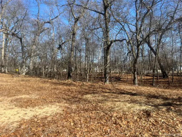 0 White Sands Drive, Pigeon, MI 48755