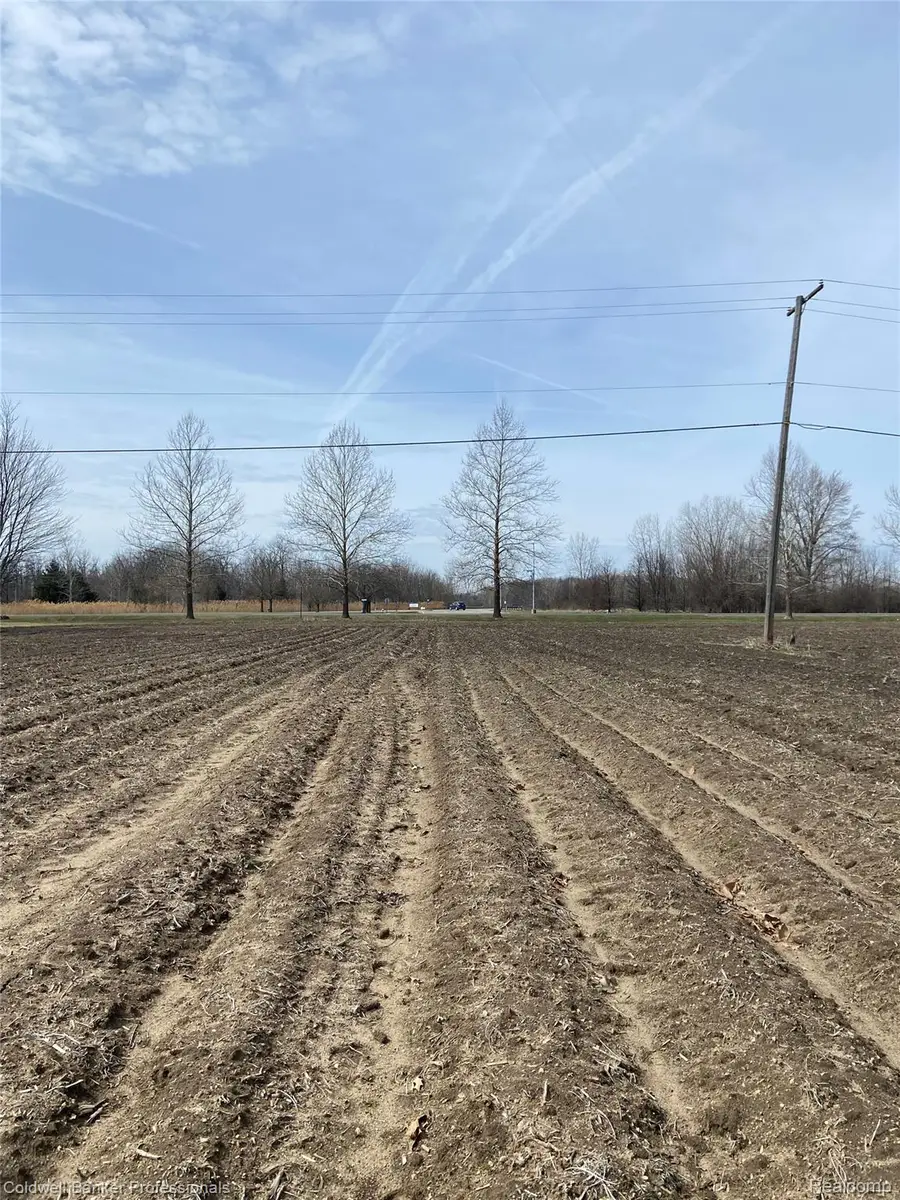 8705 Whittaker Road, Ypsilanti, MI 48197 - #3