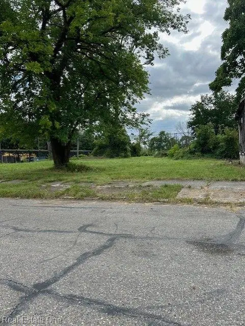 9253 Holmur Street, Detroit, MI 48204 - #2