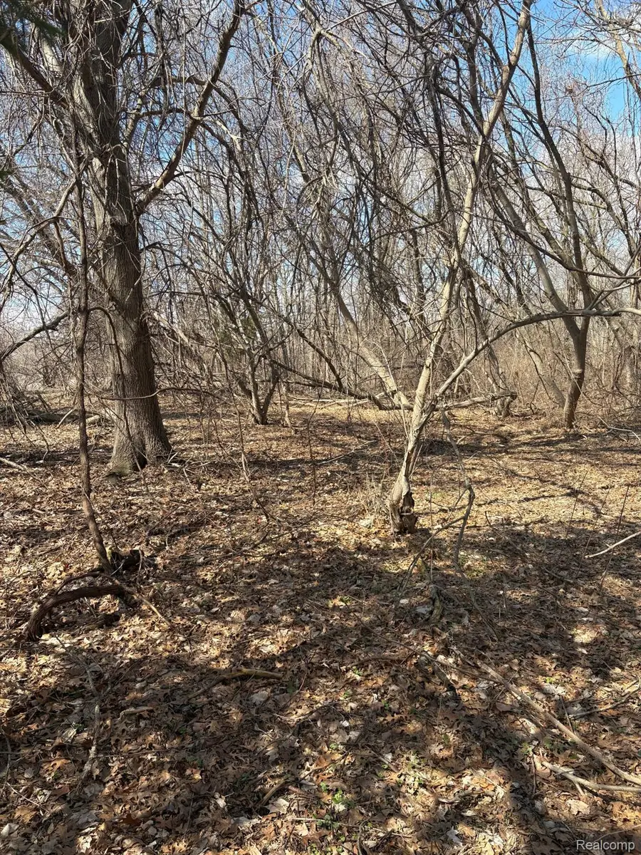 VL Herbst, Brighton, MI 48114 - #3