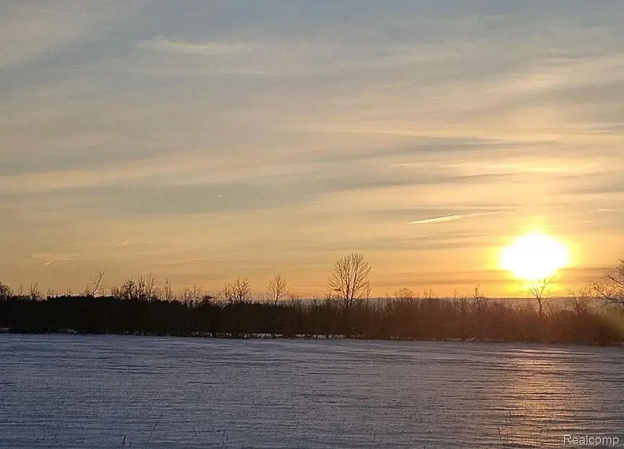 9994 Meisner Road, Casco, MI 48064 - #2