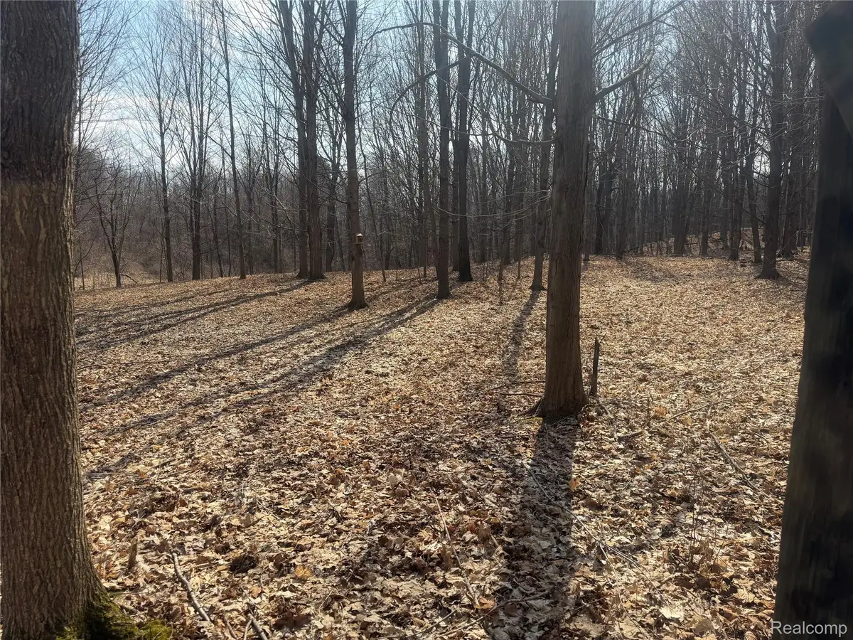 V/L Fulton, Mayville, MI 48744 - #1