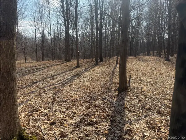 V/L Fulton, Mayville, MI 48744