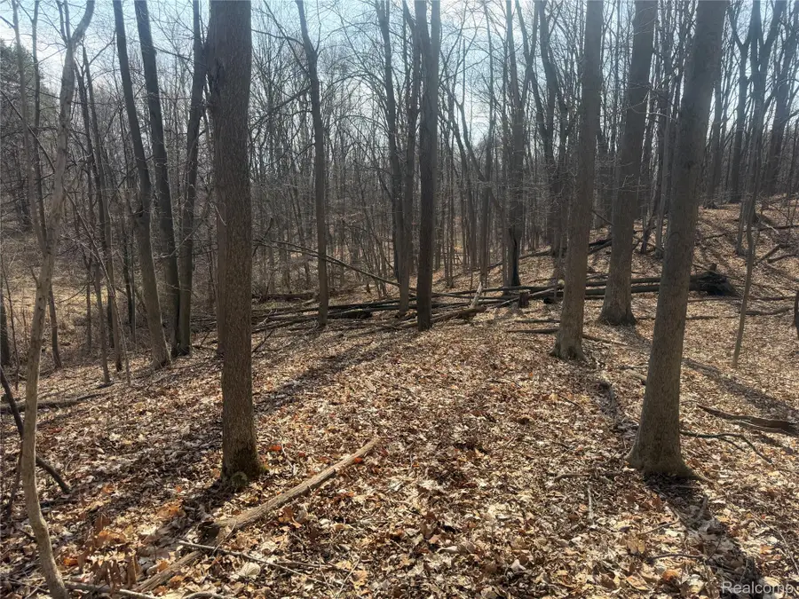 V/L Fulton, Mayville, MI 48744 - #2