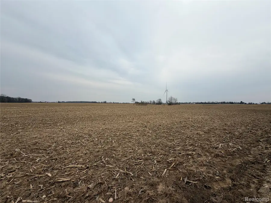 V/L Ringle, Caro, MI 48723 - #2