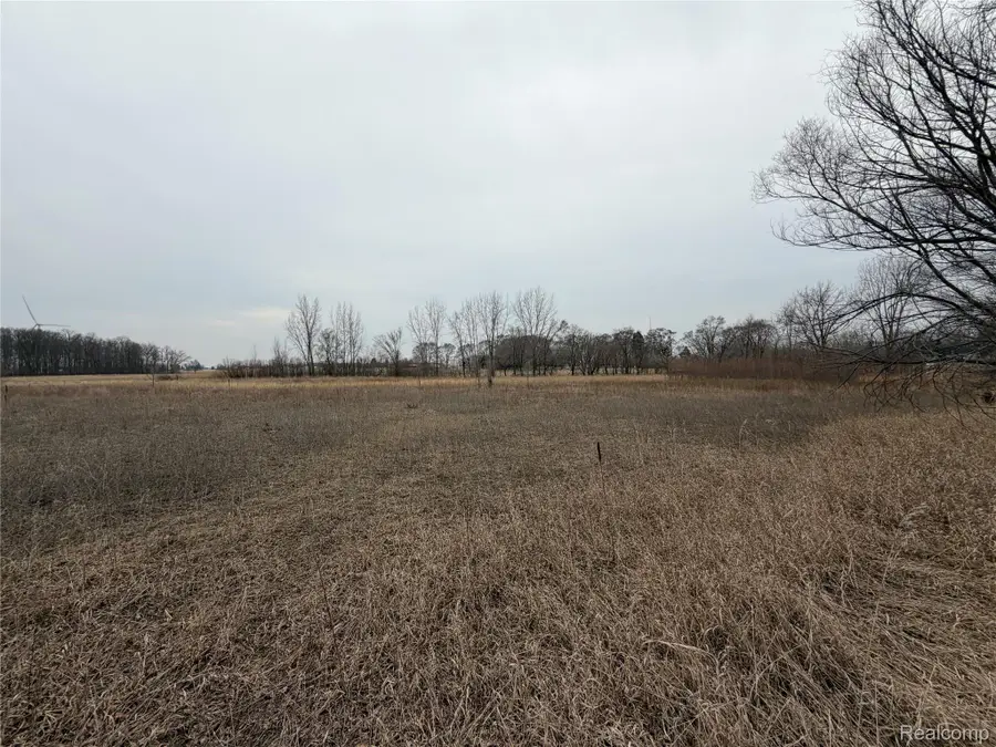 V/L Ringle, Caro, MI 48723 - #3