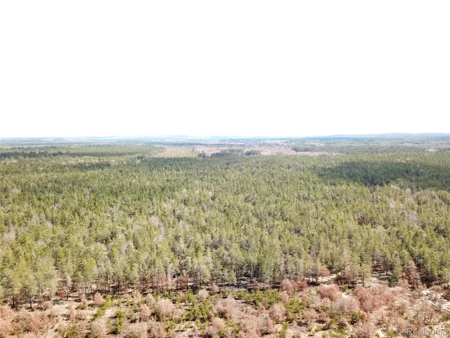 10456 Austin Road, Saint Helen, MI 48656 - #3