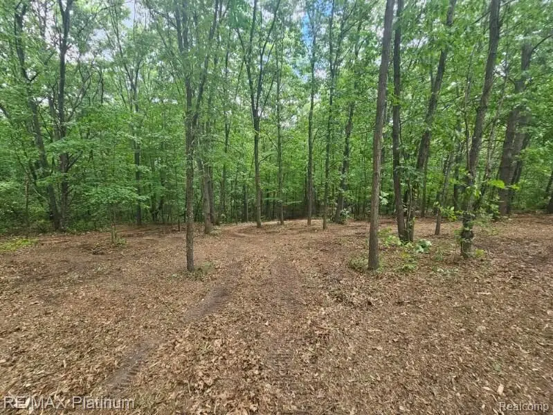 4253 Link Drive, Brighton, MI 48114 - #1