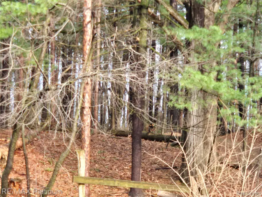 12776 Buno Road, Milford, MI 48380 - #3