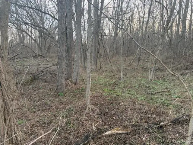 3940 Demode Road, Holly, MI 48442 - #3