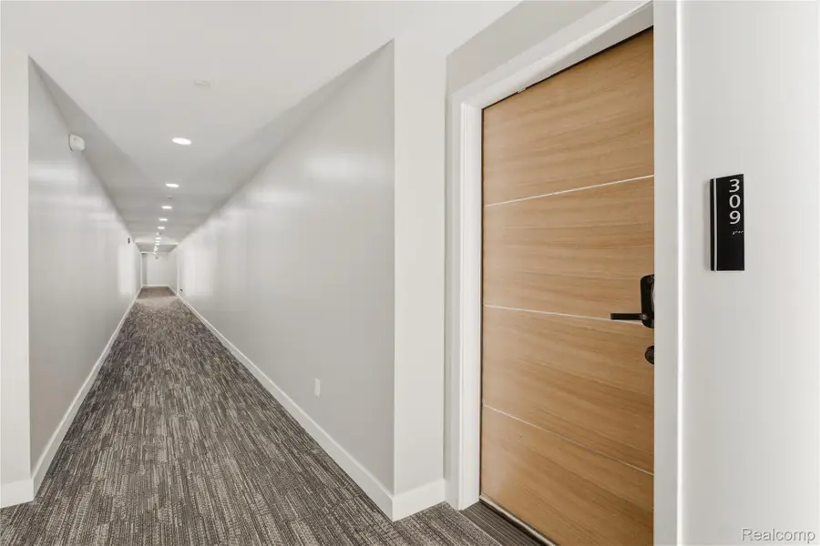 166 Oak Street #309, Wyandotte, MI 48192 - #3