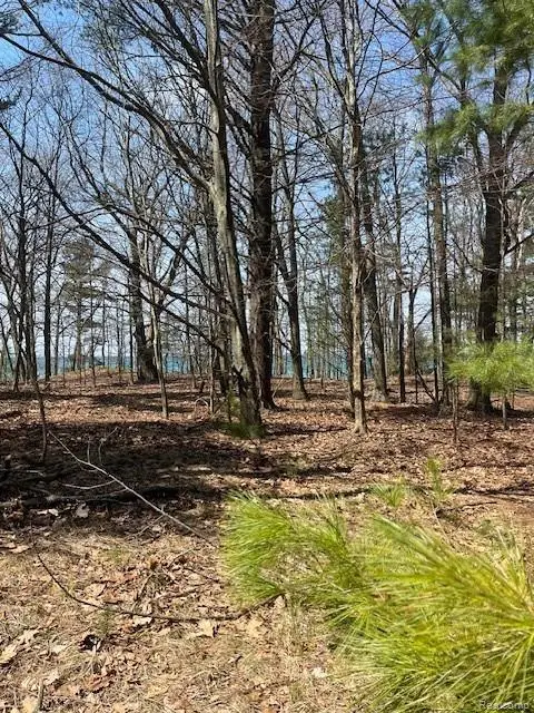 5271 Lake Breeze Drive, Pentwater, MI 49449 - #1