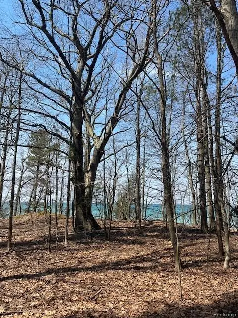 5271 Lake Breeze Drive, Pentwater, MI 49449 - #3