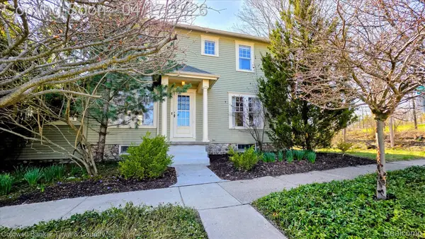 110 N Clinton Street, Manchester, MI 48158