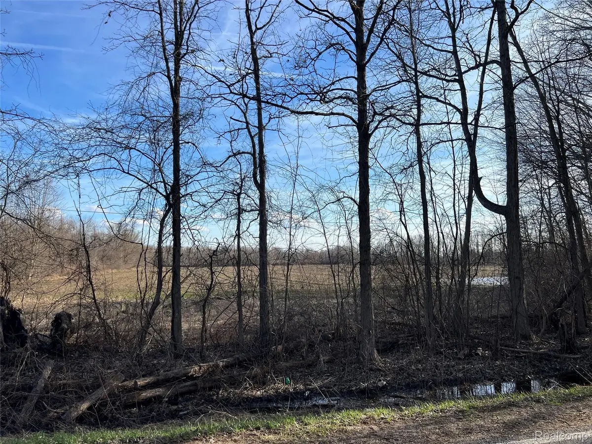10 Acres Vacant Land Vernor Road, Lapeer, MI 48446 - #1