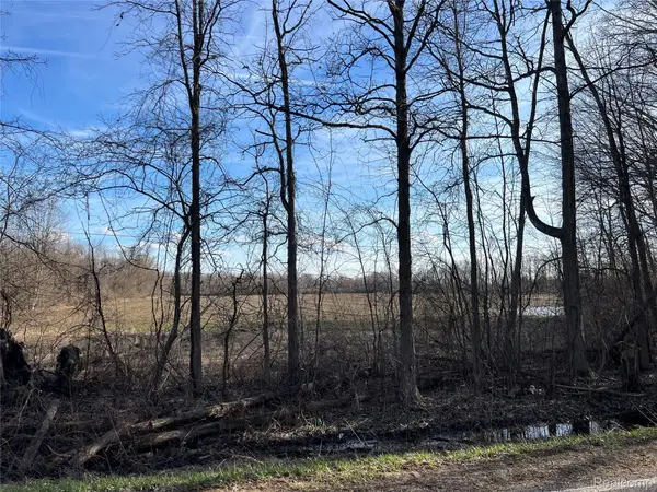 10 Acres Vacant Land Vernor Road, Lapeer, MI 48446