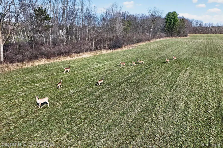 00 Brigham Road, Goodrich, MI 48438 - #3