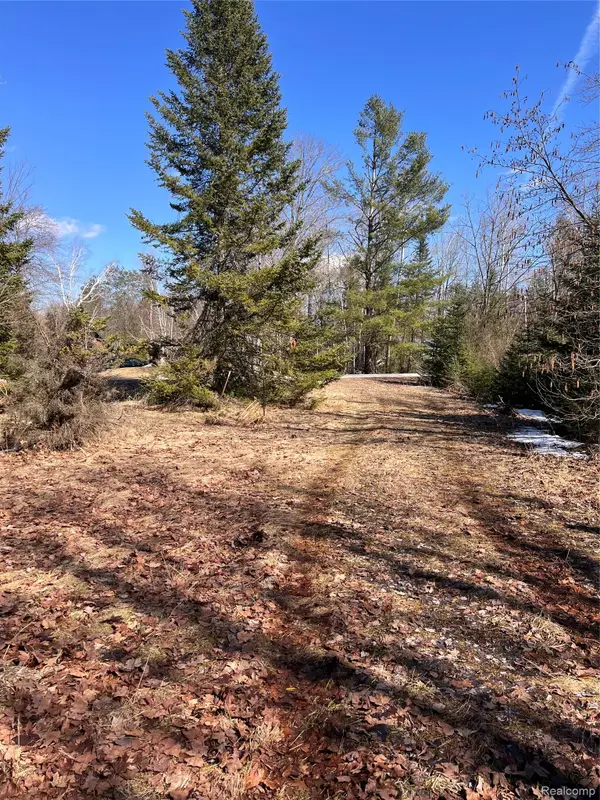 3120 Lakeshore Drive, Glennie, MI 48737