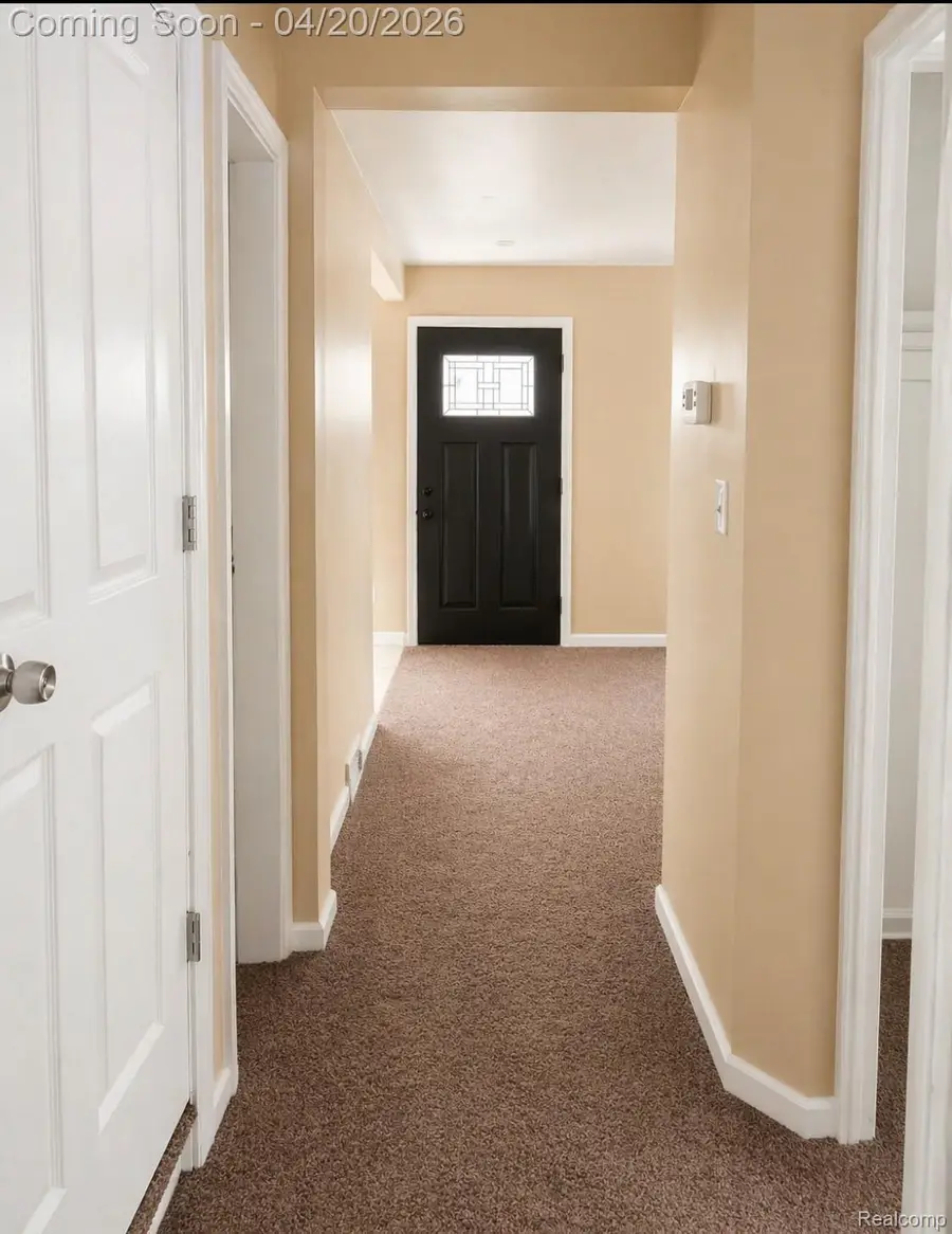 18562 Saint Aubin Street, Detroit, MI 48234 - #3