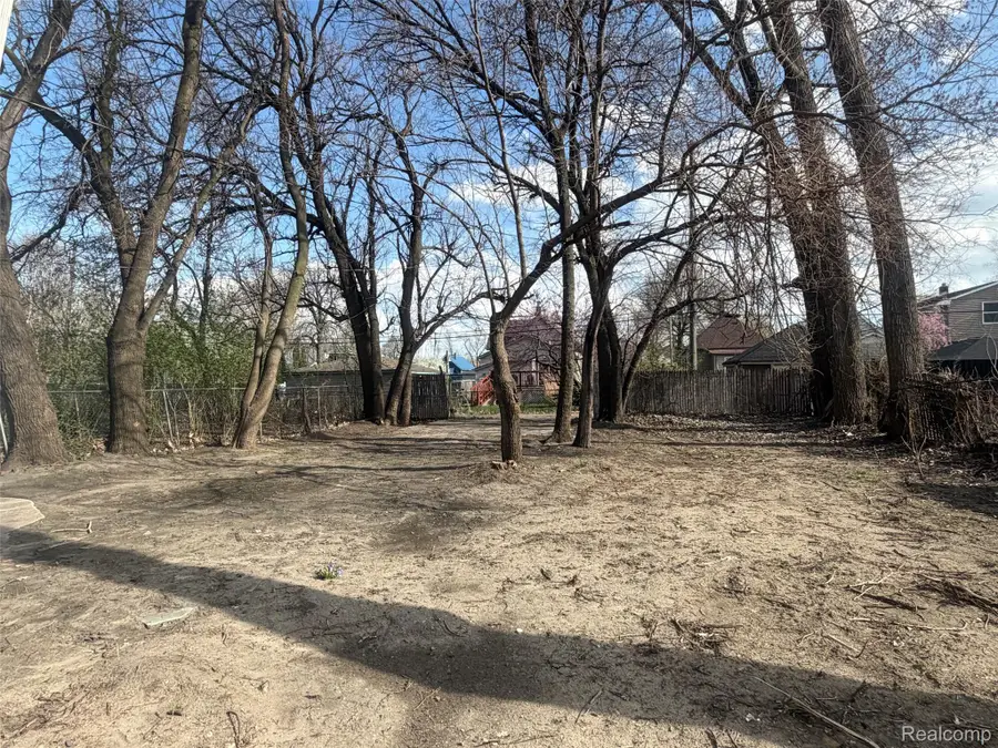 8067 Homer Street, Detroit, MI 48209 - #3