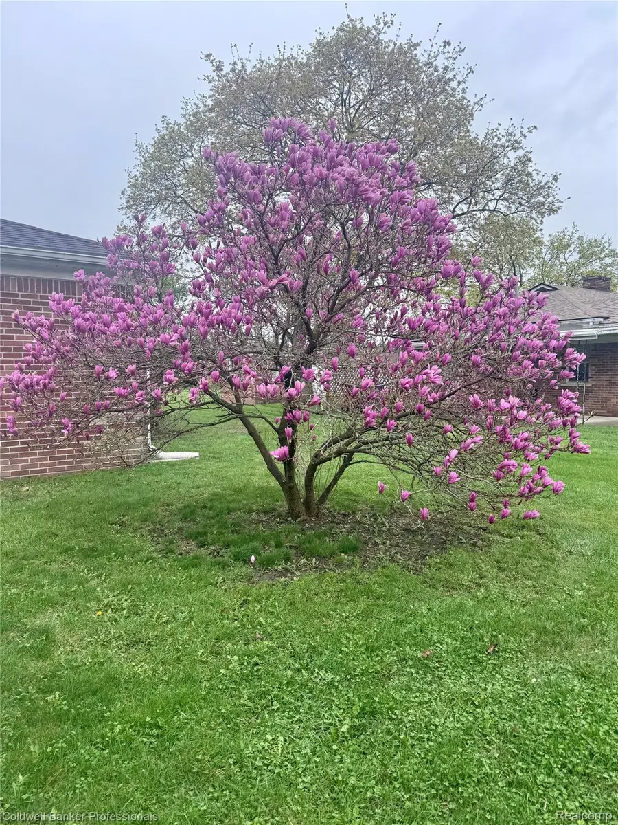 33103 Edgegrove, Fraser, MI 48026 - #2