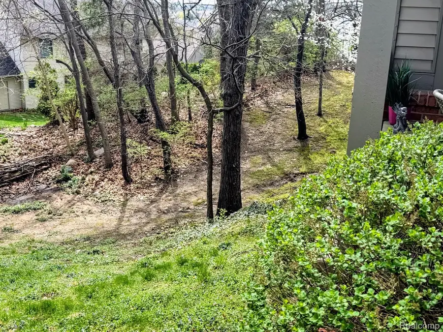 1033 Elmwood Drive, Brighton, MI 48116 - #3